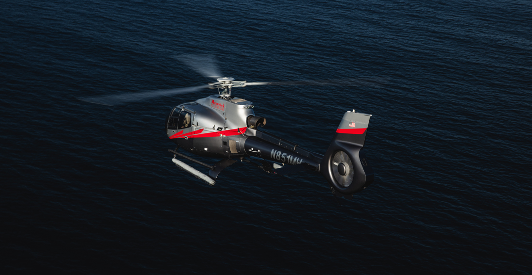 30-minute helicopter tour over Pacific Ocean in pursuit of marine wildlife