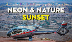 Neon & Nature secondary video