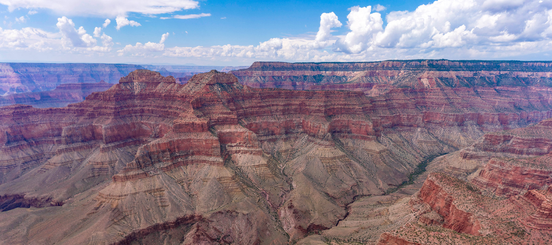 Panoramic view across the layered rock formations of the Grand Canyon