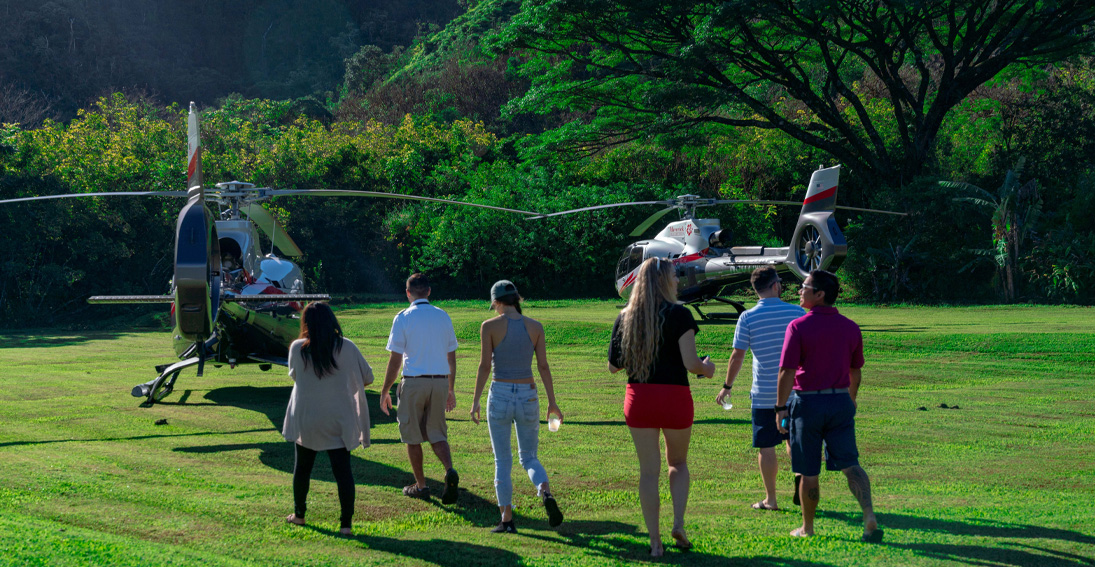 Experience the beautiful Hana Rainforest with our exclusive air and landing tour