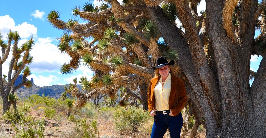 During your bus tour visit the incredible 900-year-old Joshua tree forest